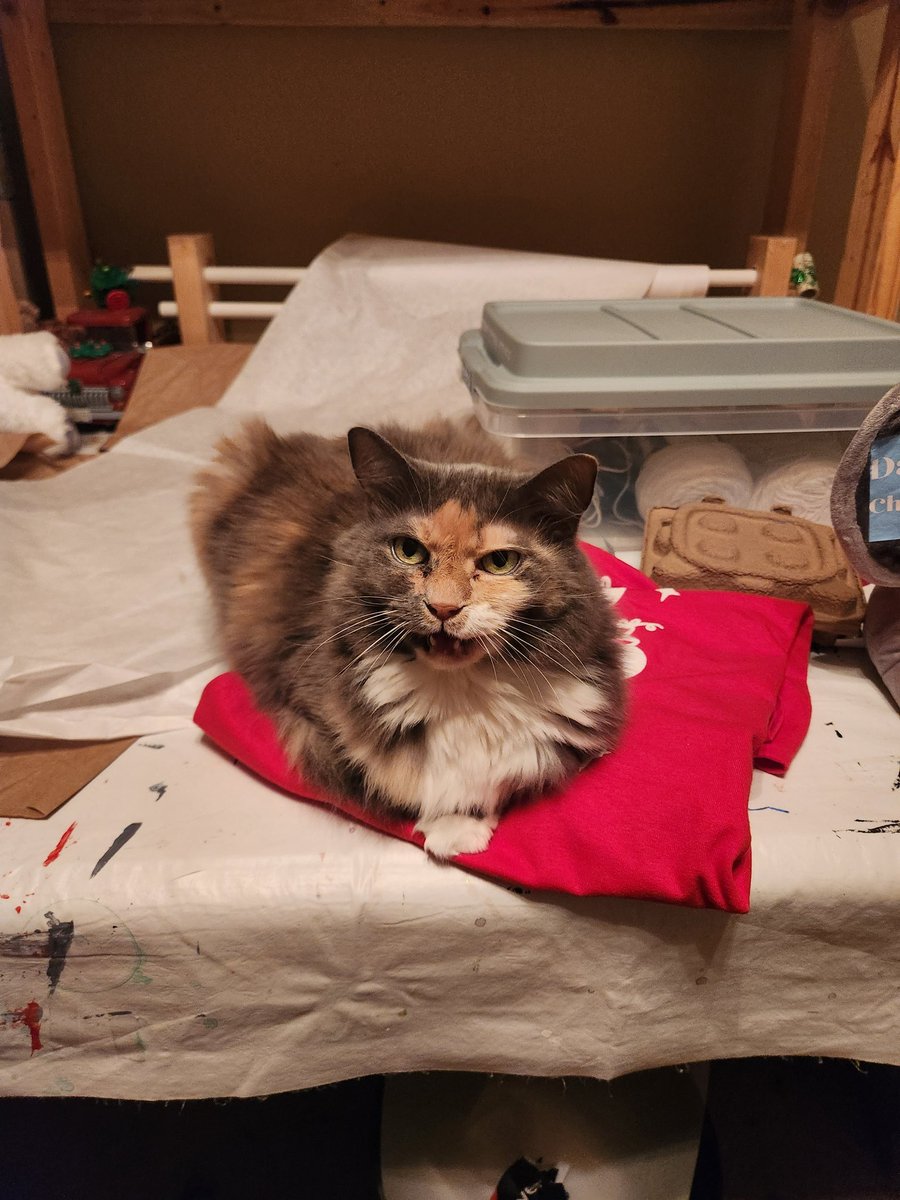 Happy National Cat Day!!