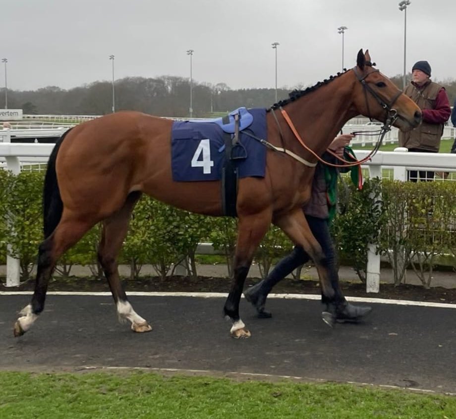 Golden rainbow back in action tomorrow <a href="/NewcastleRaces/">Newcastle Racecourse</a> good luck to <a href="/PMulrennan/">Paul Mulrennan</a> who takes the ride. Prepared by <a href="/ptmidgley/">paul midgley</a> 🌈 🐎