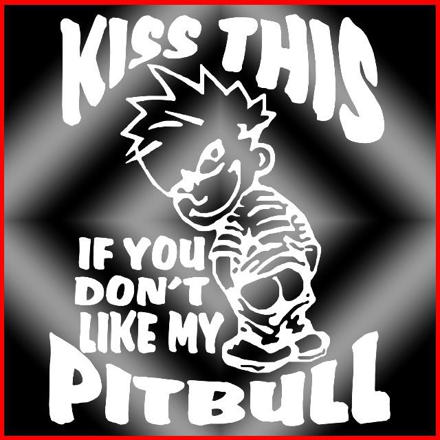 Gentle_Loki's tweet photo. Loki has a message for all of the #Pitbull haters out there๐๐คฃ
#dontbullymybreed #endbsl #ProudPittieParent #dogsoftwitter #pitbullstrong #dogs #doglovers #animals #pets #puppiesoftwitter #puppies https://t.co/FI17rlCE0f