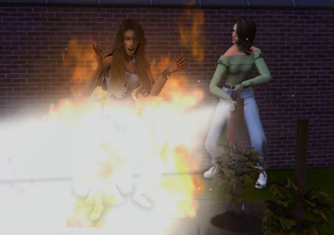 Messyframes's tweet image. Casi se me muere esta criatura, por suerte pudimos salvarla 🫠