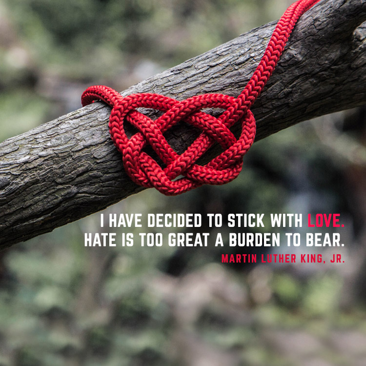 Life Center Online tweet media