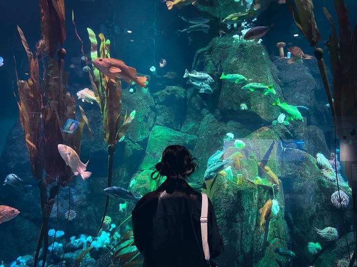 softdeIicacy's tweet photo. marine beauty. https://t.co/sFzzaZPl56