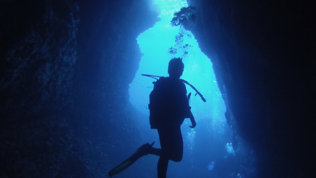 RGSHW Co-Curricular Education tweet media