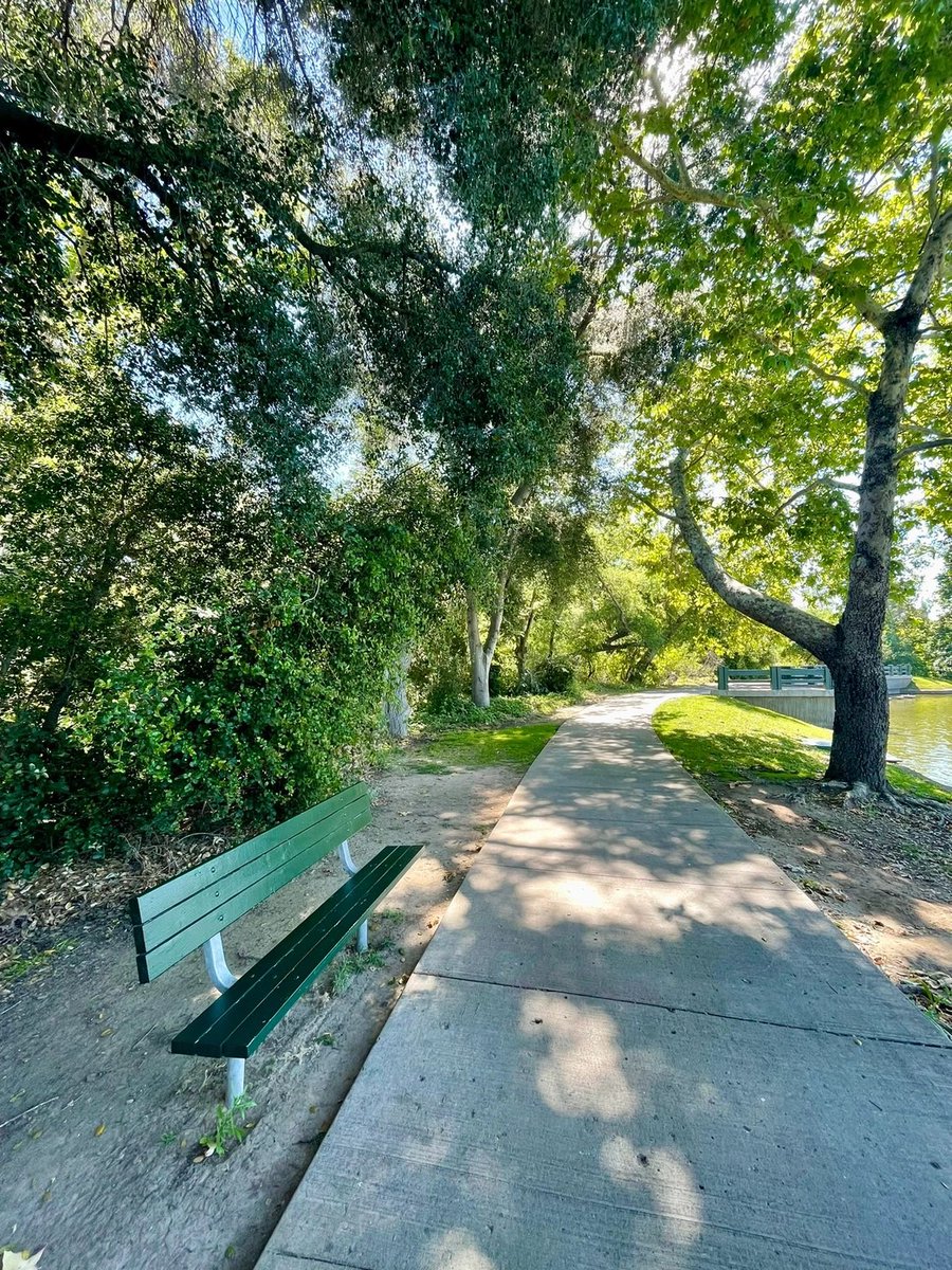 arrapot18's tweet image. Walking around the lake, the water is as calm as a mirror, reflecting the surrounding scenery, you will feel a sense of inner peace and relaxation, and the grace of the geese and their white feathers add a touch of beauty to the park #Los Angeles, California