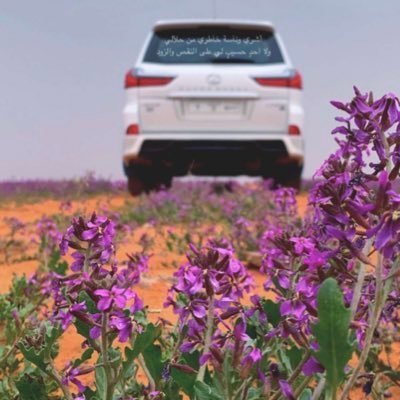 bahar al tweet media