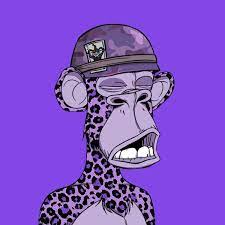 Karina_Fontinelly tweet media