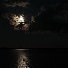 gladiz lucia tweet media