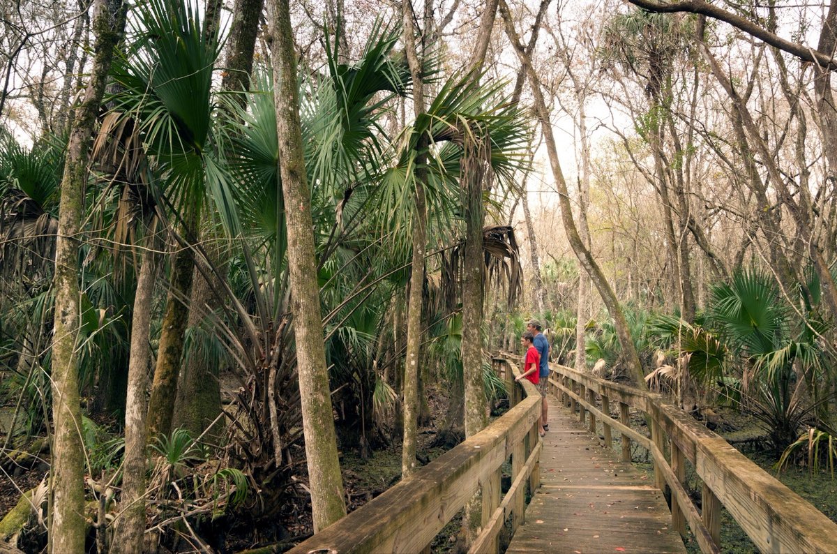 OutbackRvResort's tweet photo. Discover the beauty of Wild Orange Grove, Hickory Trail, and Fern Garden Loop, just minutes away in Sebring, FL. Experience the vibrant fall colors and serene landscapes on a 2.4-mile loop, perfect for a walk or hike.  

Which trail are you most excited to explore? 🌅 https://t.co/L5feQkZLNY