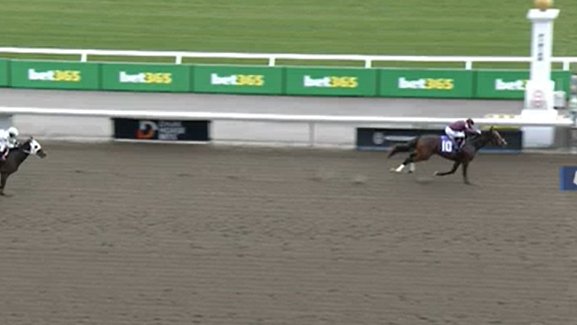 Ontario-bred NBS grad NAPTOWN (2c Munnings / @CoolmoreStud) cruising to an easy win to break his maiden at second asking in a C$111.6k MSW at @WoodbineTB. Congrats to @RVLaPentaStable, @MadaketStables, @GrahamMotion, & Rafael Manuel Hernandez!