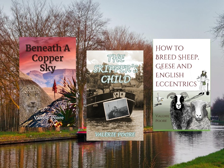 Not so keen on memoirs? Try one of my fictional adventures based on true stories. mybook.to/BeneathACopper… A #SouthAfrican mystery mybook.to/SkippersChild A waterways adventure in #Belgium mybook.to/BreedingEccent… A tale of country life in #Dorset, UK #20thCentury #fiction