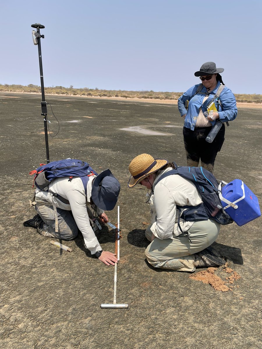 Ruth Reef 🌊 tweet media