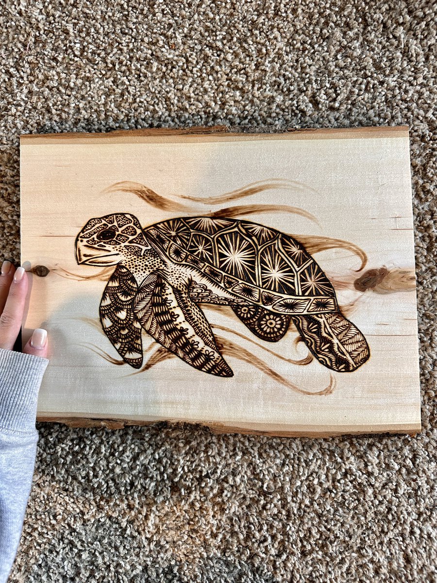 Pyrography Sea Turtle Sea Turtle Pyrography