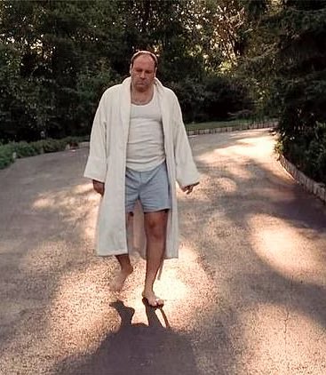 tallngay's tweet photo. I hate gay Halloween parties bc what the fuck do you mean you’re going as Tony Soprano getting the mail? https://t.co/9CUOwew28X
