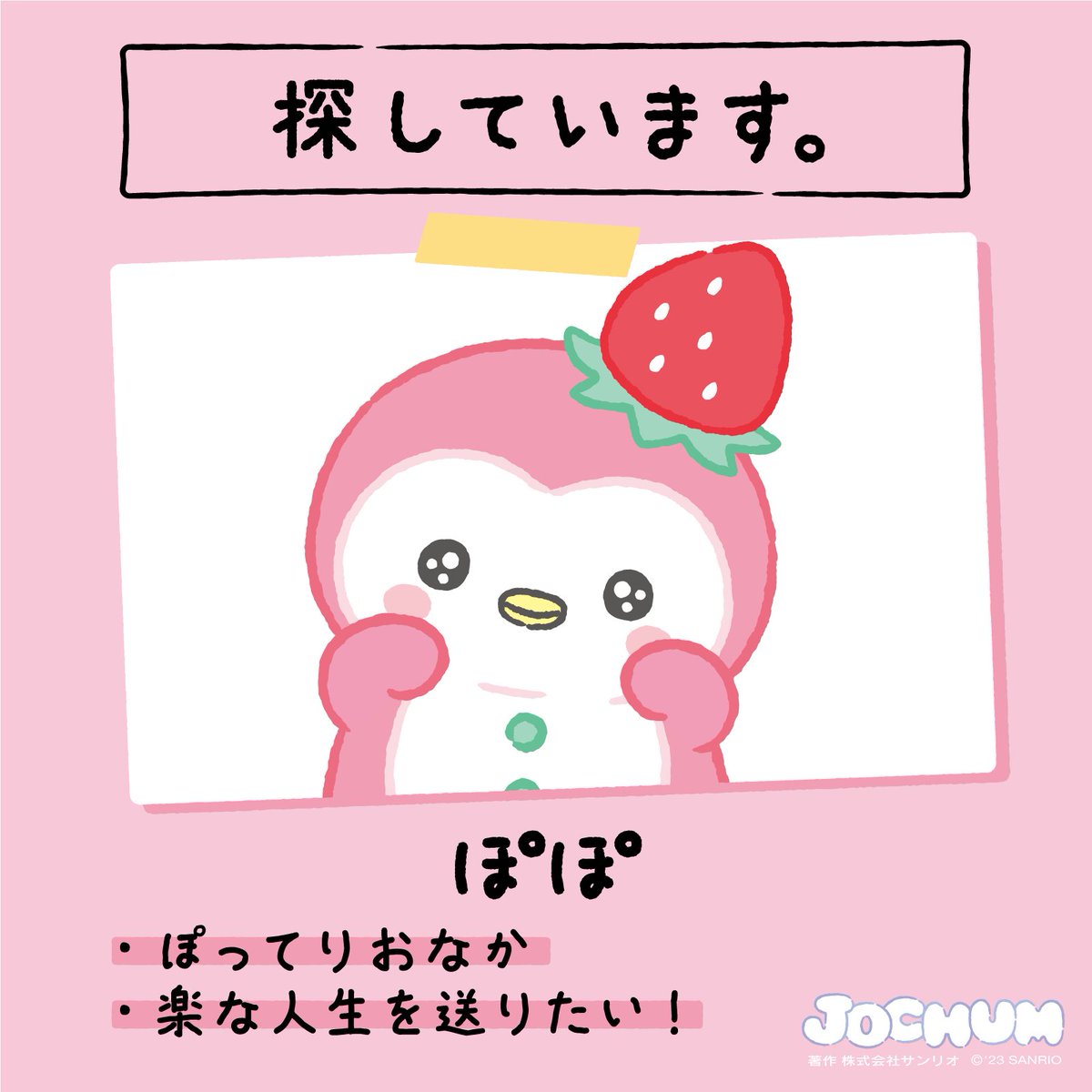 JOCHUM ぽぽ セット JOCHUM ぽぽ グッズ セット JOCHUM ぽぽ グッズ セット Amazon