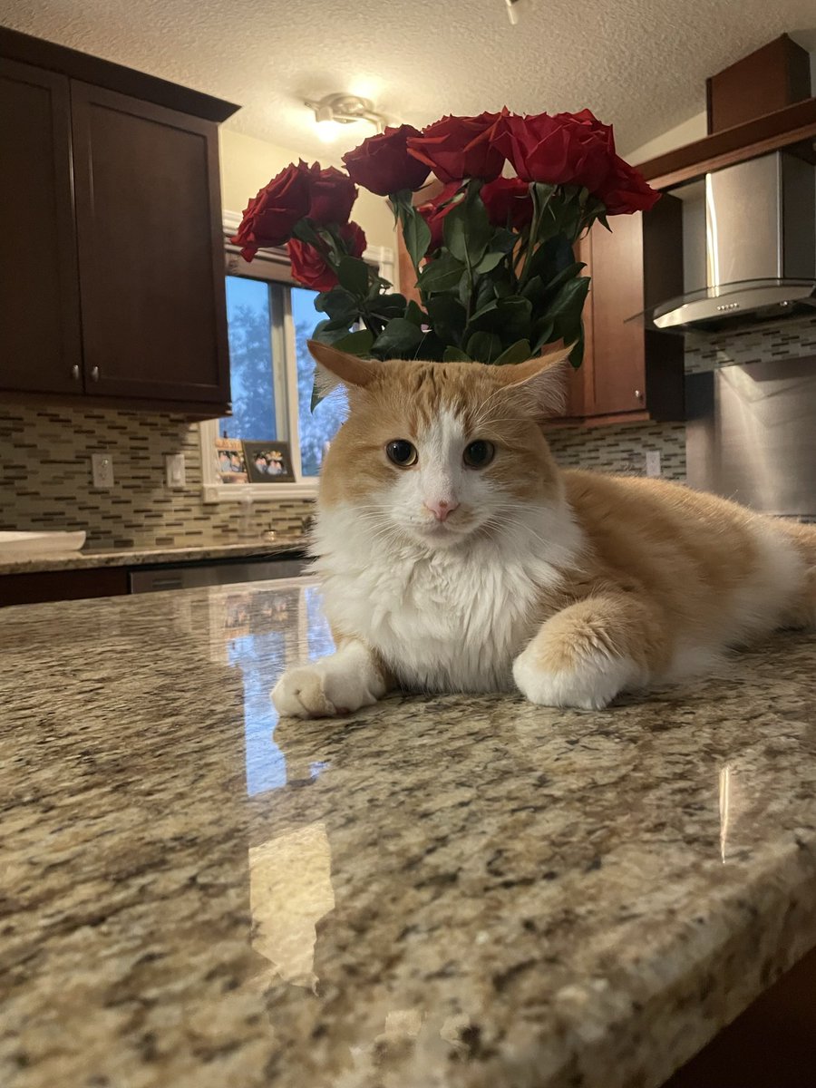 Nick Mandeville tweet media