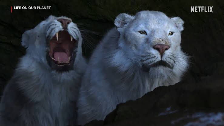 Rob Vickery tweet media