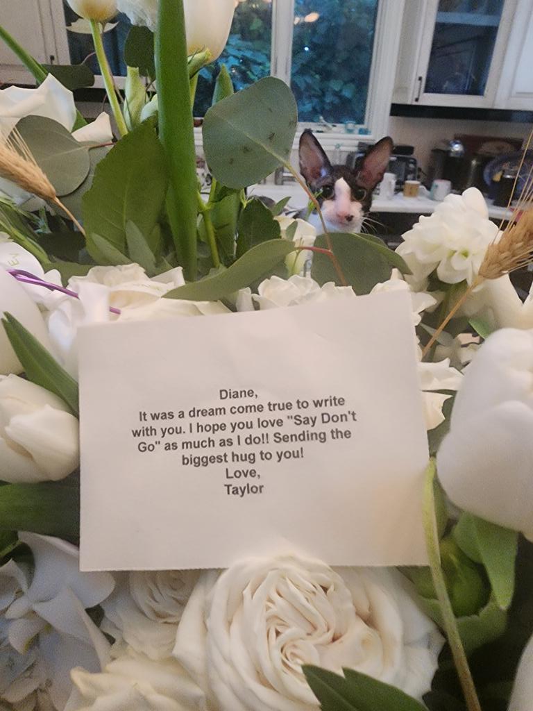 Just got this from <a href="/taylorswift13/">Taylor Swift</a>, not the cat I already had that😻. If U want to know why she is the biggest artist on the planet, this kind of kind and classy gesture is one more reason why #SayDontGo 🎵🎶🎧❤️