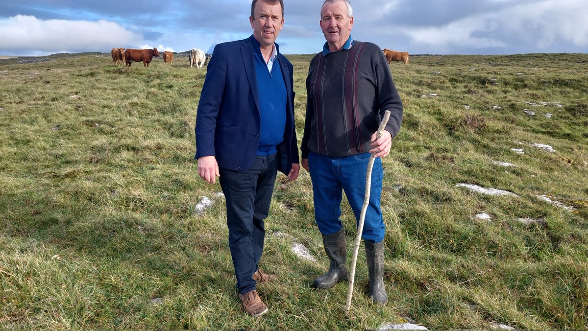 mstapo's tweet photo. I was delighted to be in the Burren today to join hundreds of people in celebrating the annual event of turning the cattle out to the mountain winterage. Brilliant to see farming and the environment working together and being appreciated by all. https://t.co/75jxYMOuQE