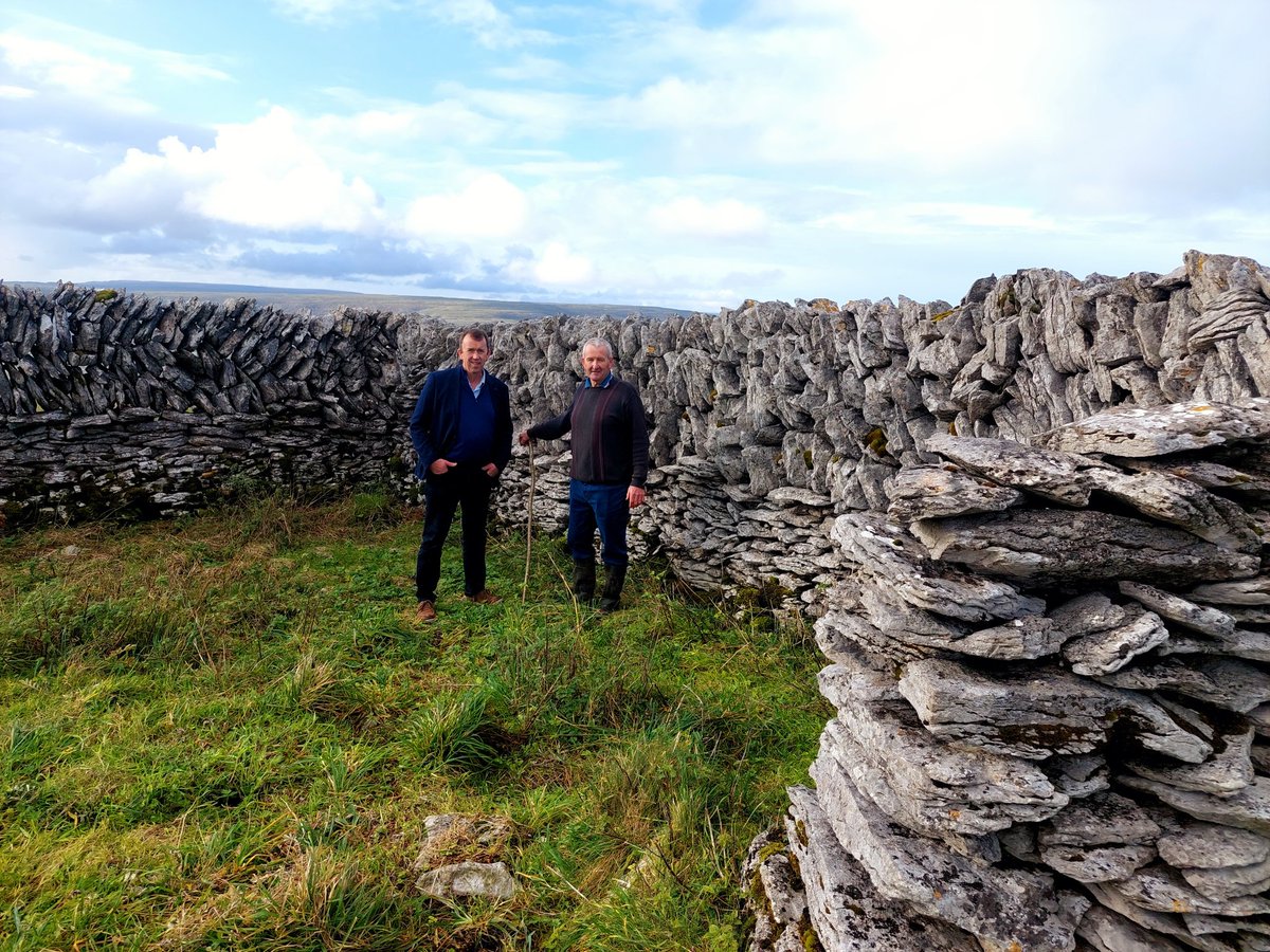 mstapo's tweet photo. I was delighted to be in the Burren today to join hundreds of people in celebrating the annual event of turning the cattle out to the mountain winterage. Brilliant to see farming and the environment working together and being appreciated by all. https://t.co/75jxYMOuQE