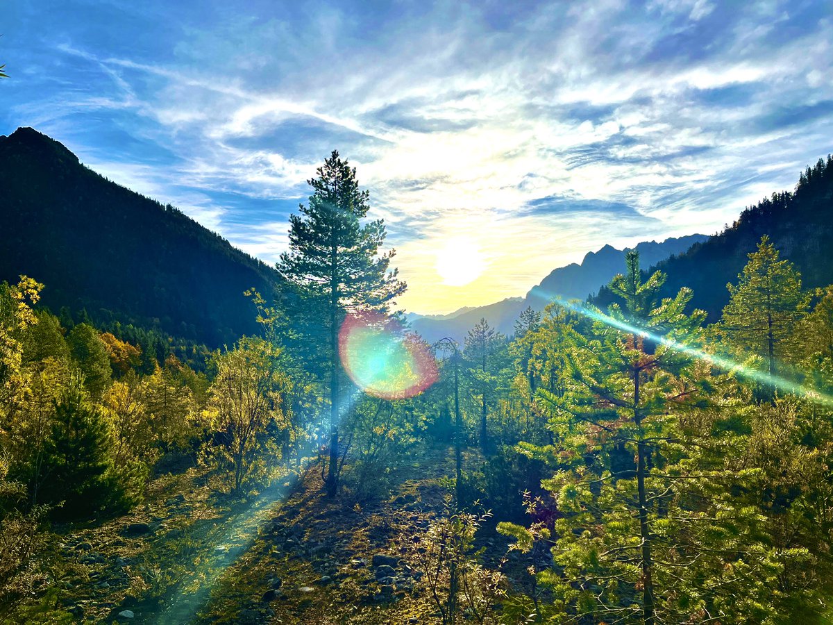 dernixweiss's tweet photo. Morning sun in the Ammergau Alps (Garmisch-Partenkirchen)
#alps #Garmisch #Zugspitze #sunrise #Autumn #sunbeams #natur #Always https://t.co/SsiLwP3I0g