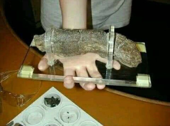 Este es el "cropolito de Lloyds". Es un excremento humano fosilizado. Del siglo IX y se presume de un Vikingo. Fué descubierto en 1971 en York, Inglaterra. Es el segundo sorete mas grande en existencia, despues de Massa.