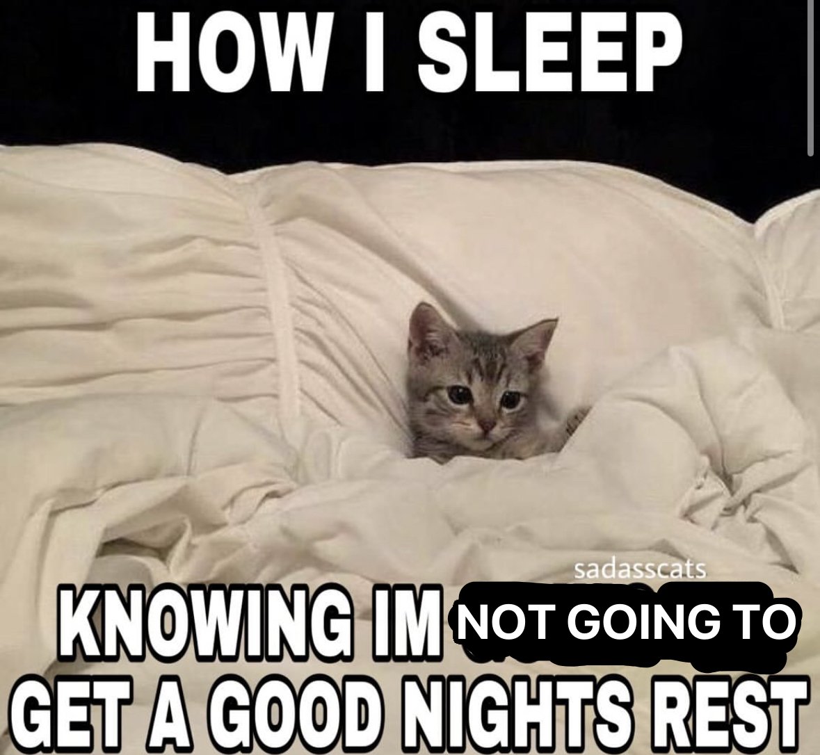 literallymecats tweet picture