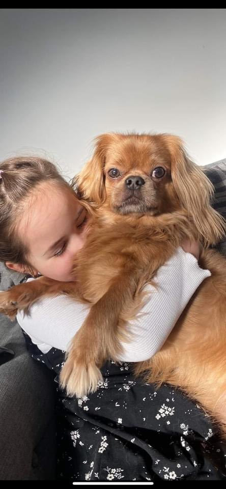 KarenFi51820768's tweet photo. Where is Teddy #Stolen one year ago today please #FindTeddy this little girl is heartbroken 😭😭#Repost https://t.co/PJQ6eF8OZD