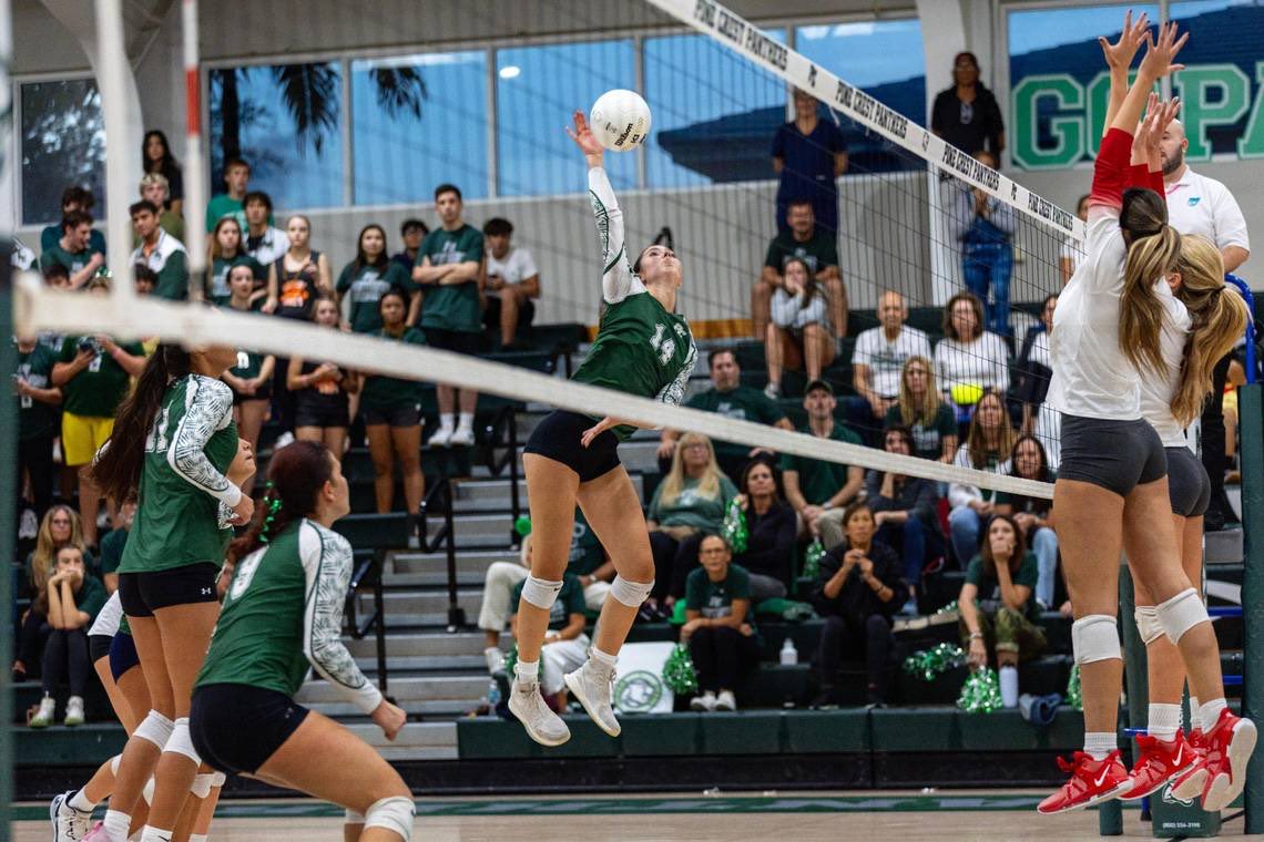 Daniel Gold tweet media