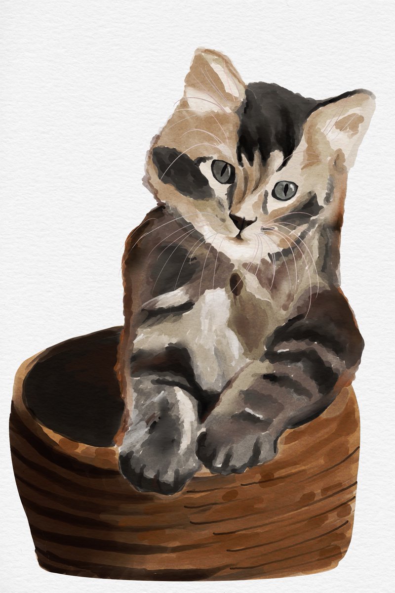 Novawriteshere's tweet photo. #Cat #watercolor #painting # #warercolor_daily #digitalarts #procreate #shorts #catlover > art tutorial below https://t.co/ABqLWbawbO