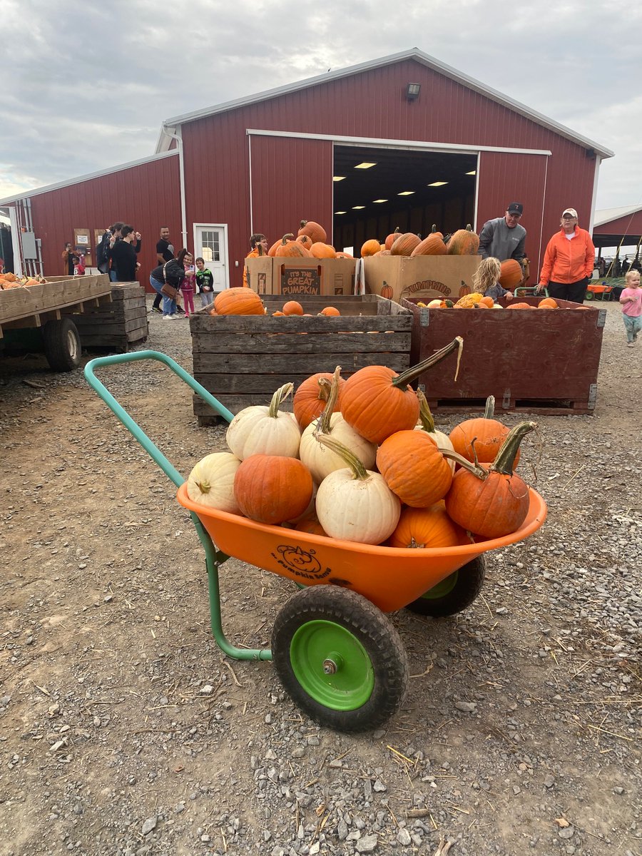 Ms. Nilo tweet media