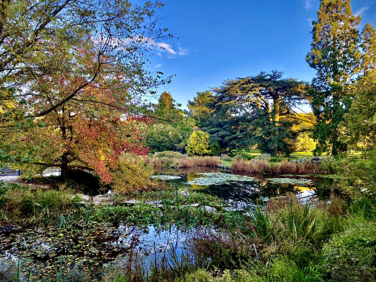 Autumn👌@CUBotanicGarden @Cambridge_Uni