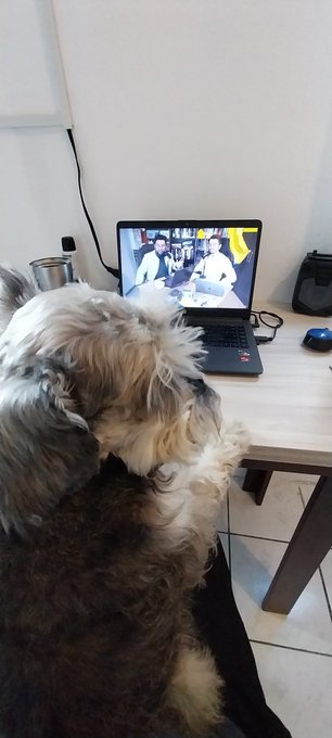 #alejoygioelecciones  muchachos desde Brasil con ustedes... C&oacute;mo hago para ponerme en contacto con ustedes<a href="/tag/alejoygioelecciones"class="tags">#alejoygioelecciones</a>