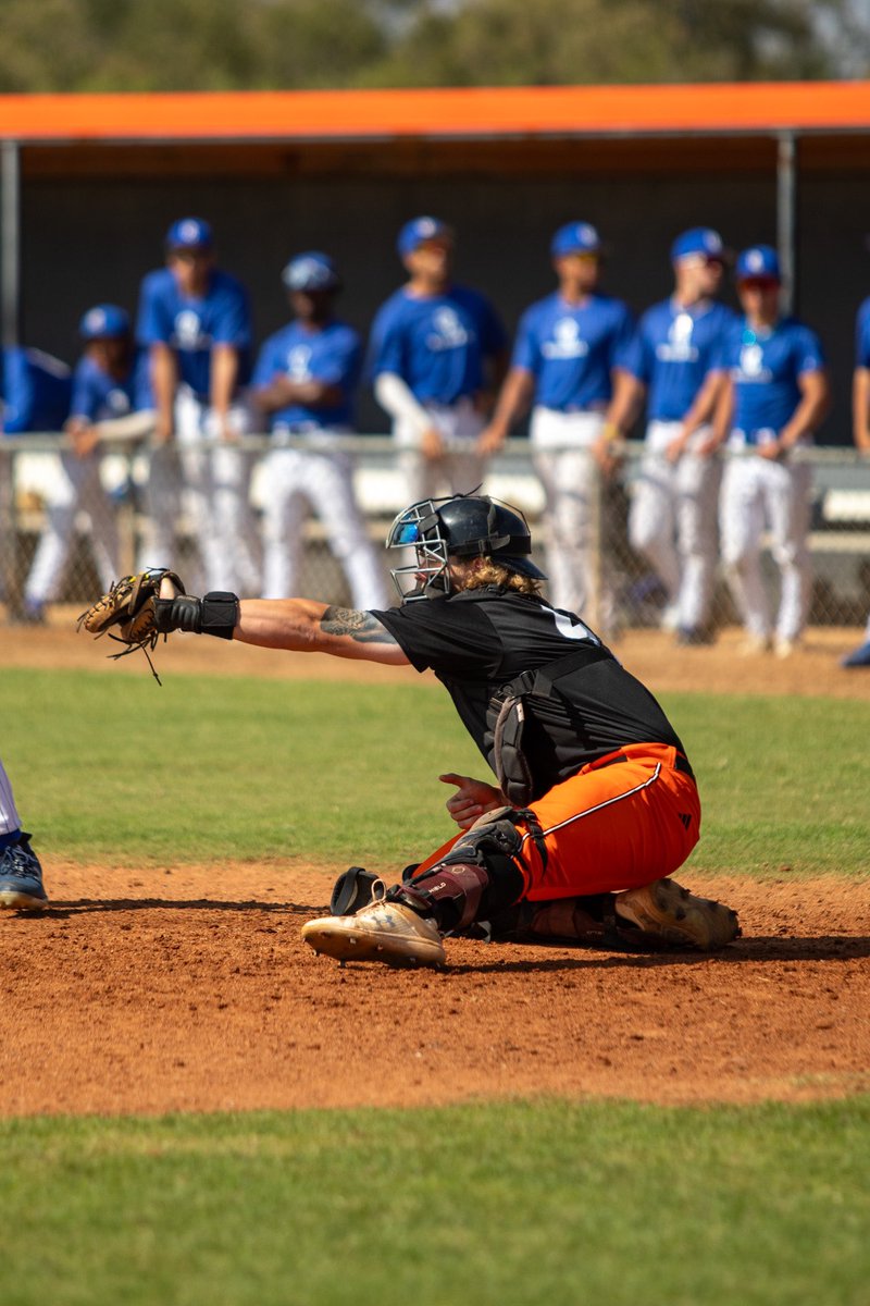 utpb_baseball tweet picture