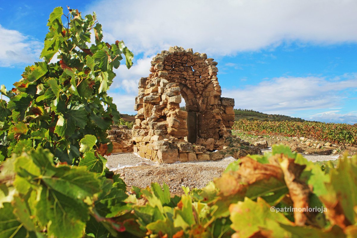 PatrimonioRioja's tweet photo. Re-surgiendo entre viñedos: Santa María de Rute. Ventas Blancas. Valle del Jubera. https://t.co/lbUwUxgW2H