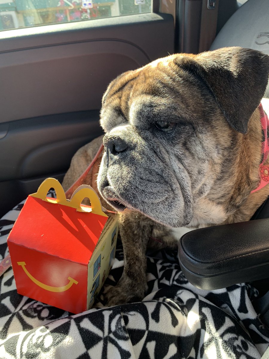 Happy 10th Birthday to my best friend and soul puppy!!