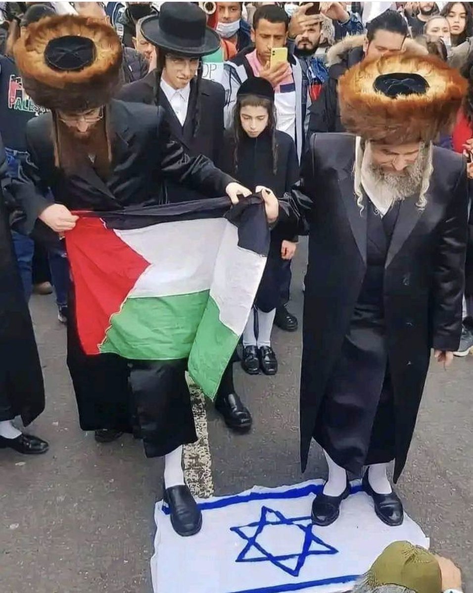 ALoihmi's tweet photo. For those who condemning jews for what happening in Gaza. It is wrong to condemn jews for that. It is the fascist Israeli Zionist leaders who committing genocide, not the jews. Many Jewish people are against Netanyahu and his dogs.
#Israel #IsraelPalestineWar #Palestine #Gaza https://t.co/DQmEA66m3l