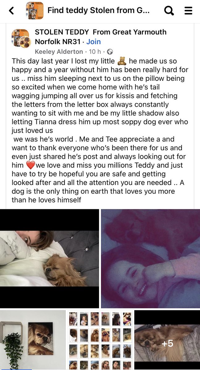 rosieDoc2's tweet photo. #findTeddy 

If you have TEDDY 
If you know who has TEDDY 
Please read This⬇️
Please have a heart and think seriously  about how you can help this family https://t.co/XJrm6hQd2J