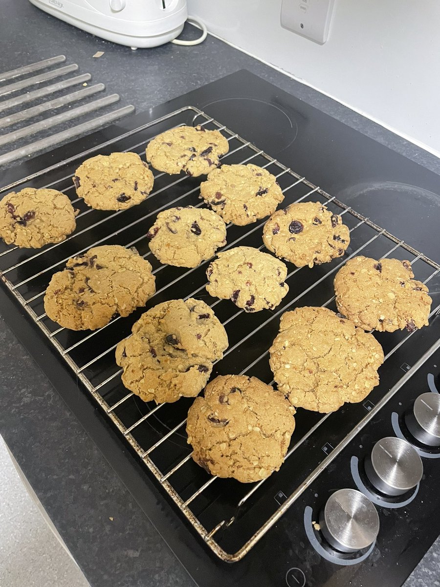 Not bad for a first go at vegan baking! Vegan orange and cranberry cookies for OxICFM classes tomorrow! #OxICFM #chemistswhobake