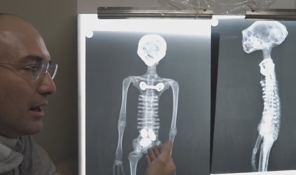 Сергей Карамушкин tweet media