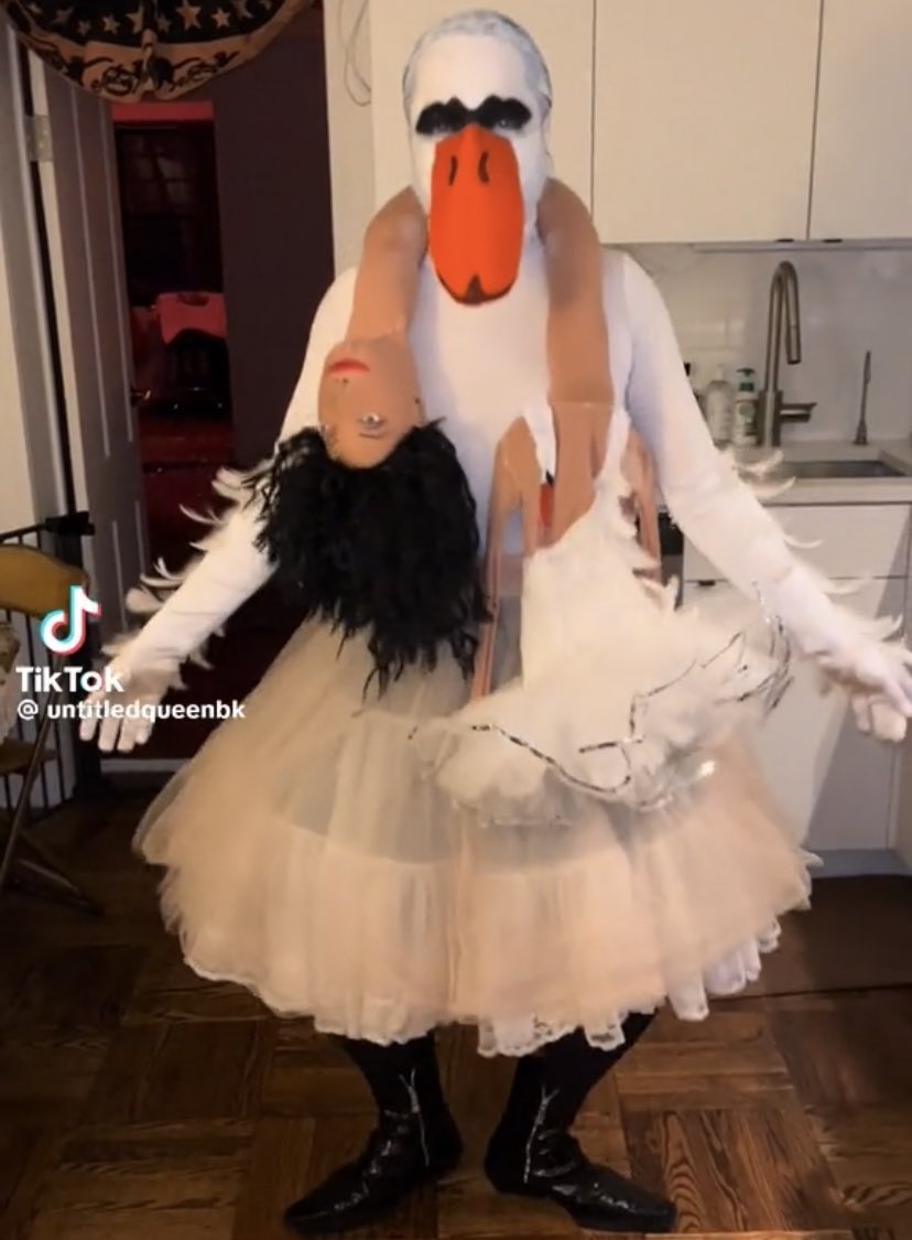 bjork in swan dress