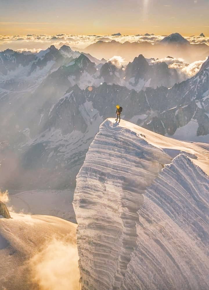 Tancerca_'s tweet image. ⚘Cuídate un poco, te hace falta. Mímate y háblate bien, te lo digo muchas veces, pero casi nunca me haces caso.
No añadas más ansiedad con problemas que aún no han pasado.
Pasa de todo a veces. No pienses, no temas, no acumules pensamientos.
La realidad está fuera. Y tú solo te…