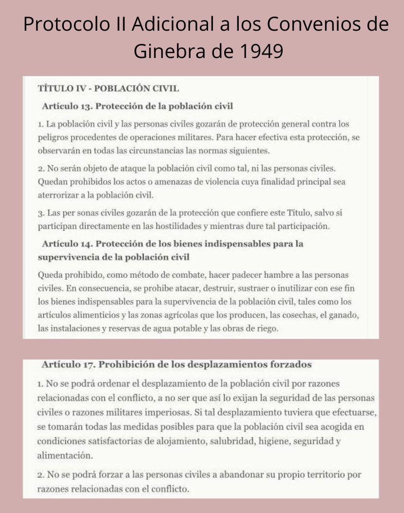 Con los datos de la ONU, la Fiscalía de la Corte Penal Internacional debería actuar contra Netanyahu por crímenes de guerra. La monstruosa masacre de Gaza, con miles de civiles asesinados (entre ellos, muchísimos niños y niñas), es un ataque frontal al derecho internacional.