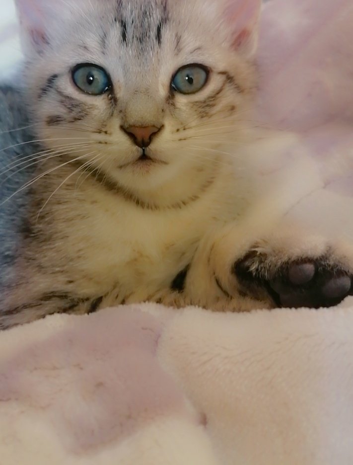 لا تفارقني ياسكر فالعالم كله، لا يعني لي شيئاً بدونك
المايعرف سكر هذا👇