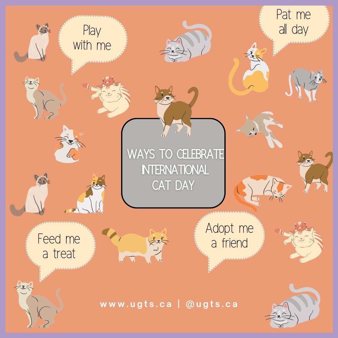National Cat Day is an annual observance that celebrates &amp; promotes the adoption of cats from animal shelters and appreciates the love, and joy that cats bring to our lives.

We at UGTS love cats and want to show love to our feline companions! 

#NationalCatDay  #ugts