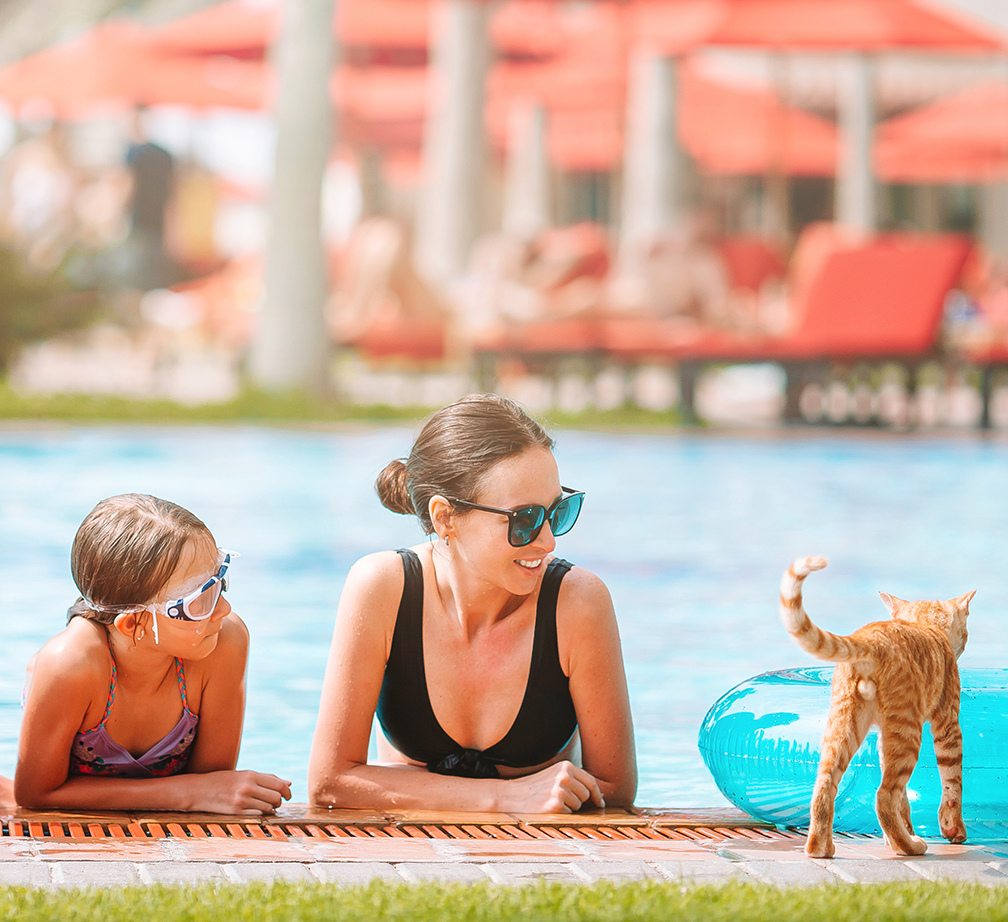 In honor of National Cat Day, we think it’s the purrfect time to hang out by the pool. 😸