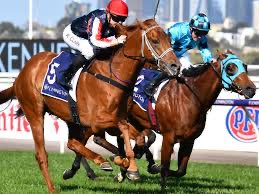 riverbankfarm1's tweet photo. Dalasan #mondaymood won 🏆 the carbine club four years ago ⁦@FlemingtonVRC⁩ been busy at stud @riverbankfarm1🐎  ☘️ ☘️☘️☘️#breedtorace https://t.co/SNZXmGksmN
