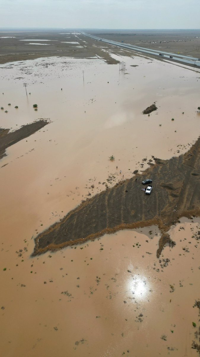 هاني الصبحي 📸 tweet media