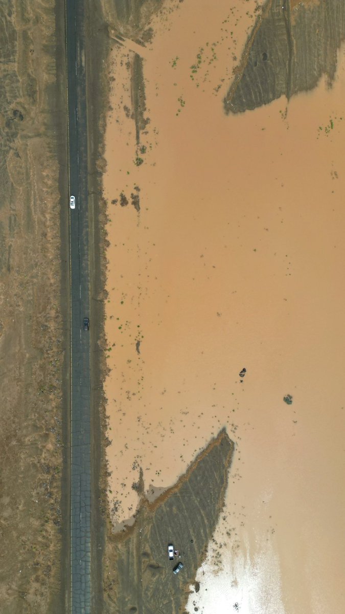 هاني الصبحي 📸 tweet media