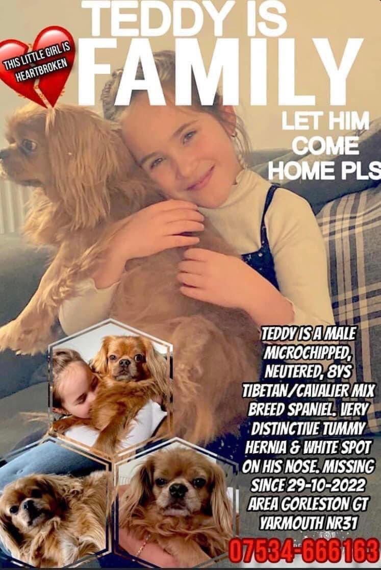 rosieDoc2's tweet photo. THESE ARE POSTERS ABOUT ME AND MY FAMILY ⬇️
Someone took me from them a year ago and I know they’ll miss me as much as I miss them 
IF YOU THINK YOU SEE ME…. Call my name TEDDY and I’ll know you’ve come for me 
Thank you for tonight 🐾💔
TEDDY X
#findTeddy 
@RachaelB100 @bs2510 https://t.co/xeLe8PX8NW