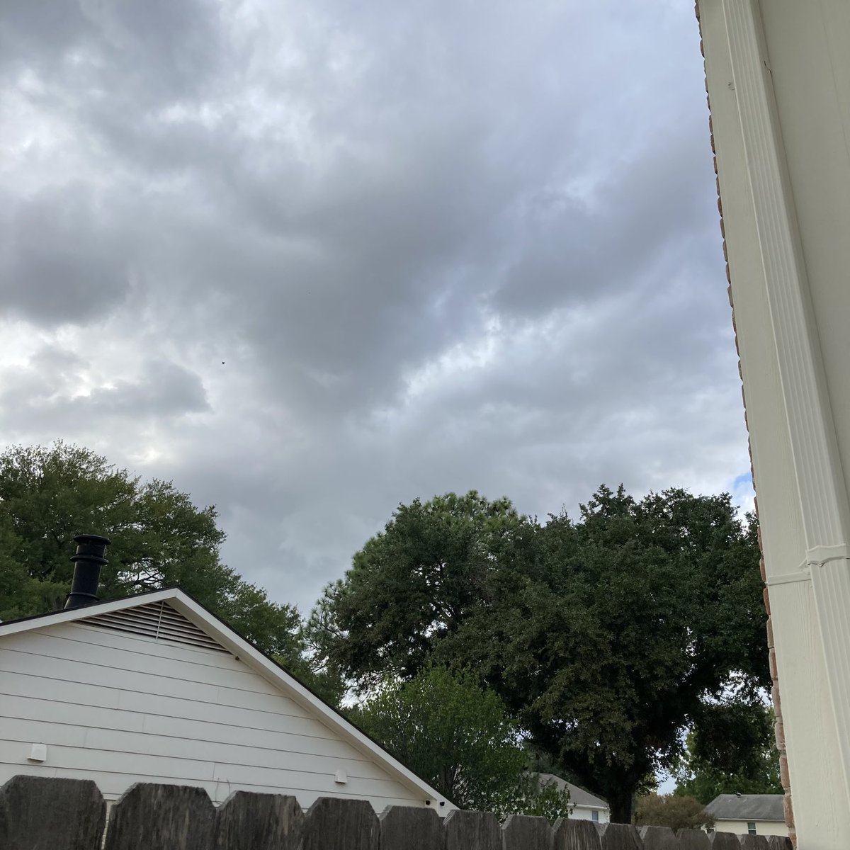 NancyLea88's tweet photo. Looking for that “blue norther” 😂 We just got the wind shift Spring Branch North @mattlanza @SpaceCityWX @BillyForney3 #houweather #houstonweather #springbranch #coldfront #springbranchhouston https://t.co/0QbwZUZpmh